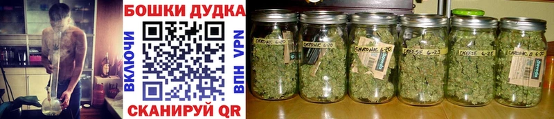 Наркошоп купить СК  LSD-25  ГАШИШ  МЕФ  МАРИХУАНА  Cocaine  Злынка