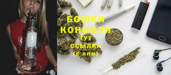 винт Инсар