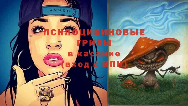 винт Инсар