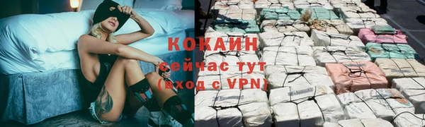 винт Инсар