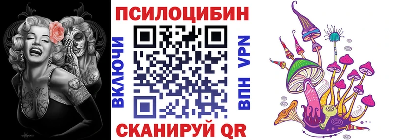 Псилоцибиновые грибы GOLDEN TEACHER Злынка