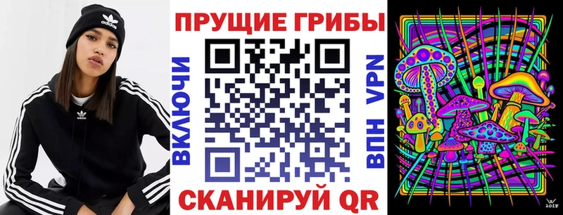 Галлюциногенные грибы мицелий  Купить закладки  Злынка 